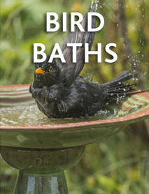 Bird baths